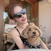 ちゃろ🐶💛