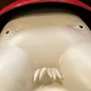 花丸木