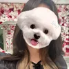 限界東大生ちゃん🫧