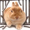 ᐢうさみちゃんᐢ